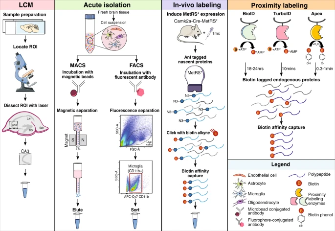 Proteomics in Alzheimer’s Disease